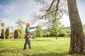 Best Tree Maintenance Programs  in Jefferson, OH